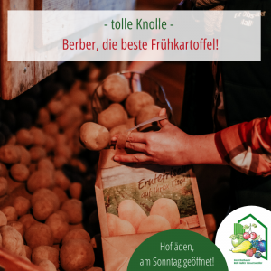 Berber, Frühkartoffeln im Hofladen